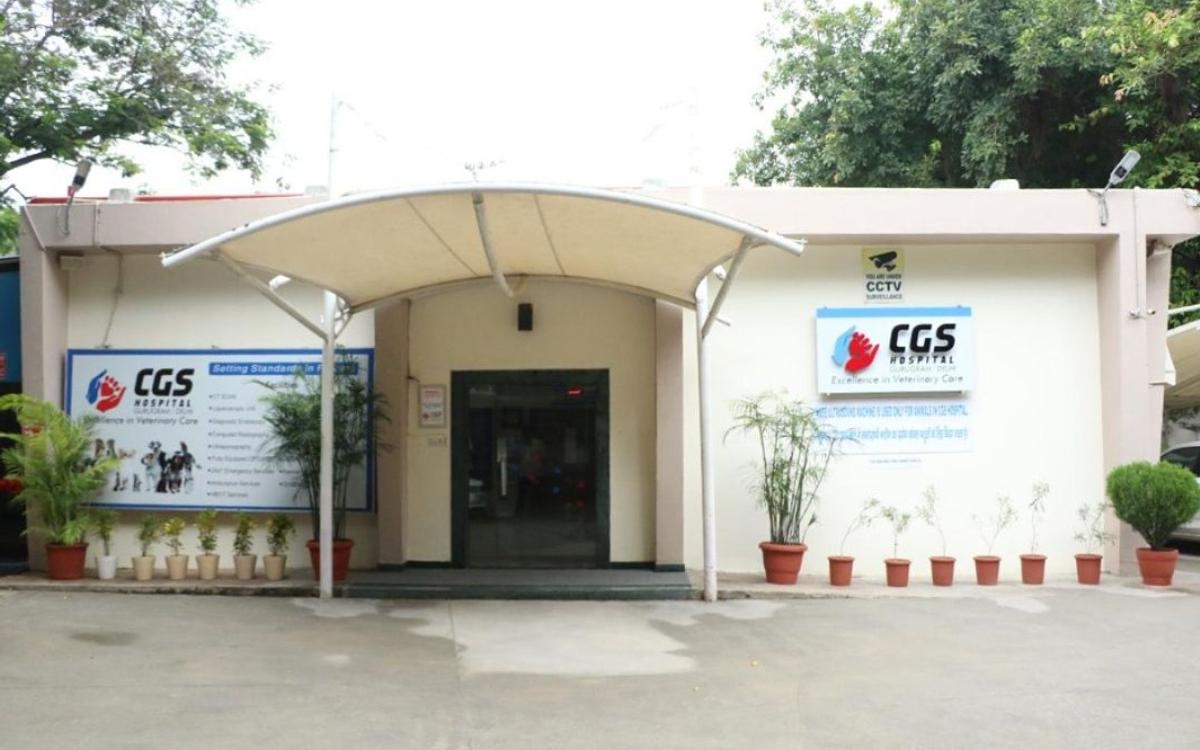 CGS Veterinary Hospital