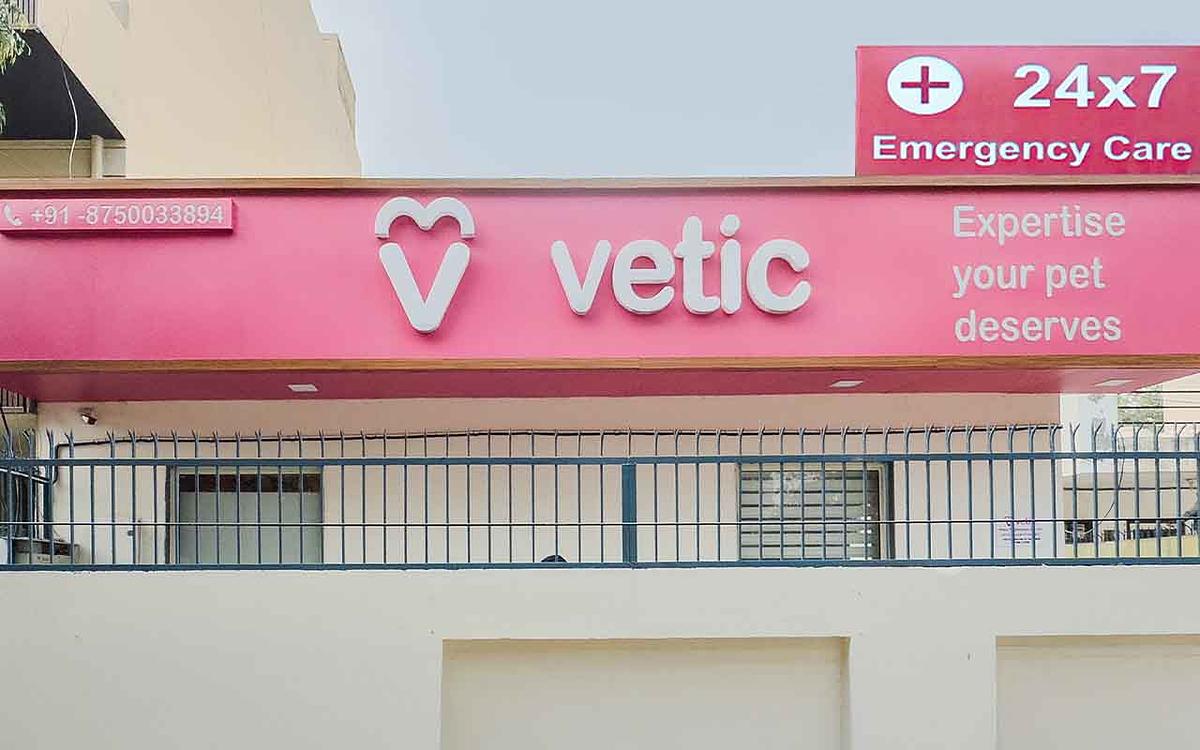 Vetic Pet Clinic Sec-45 Gurgaon