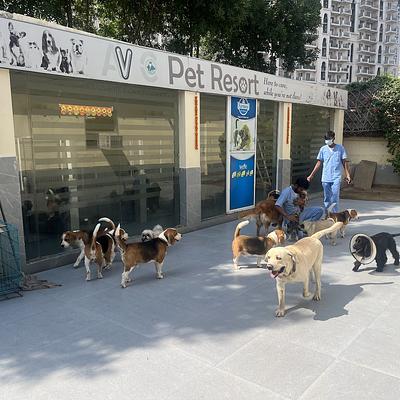 AVC Multispeciality Pet Hospital