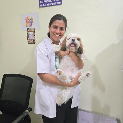 Dr.Pooja Pet clinic