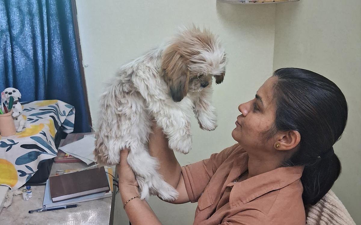 Dr.Pooja Pet clinic