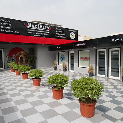 MaxPetZ Palam Vihar Gurugram