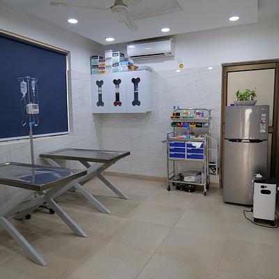 MaxPetZ Palam Vihar Gurugram