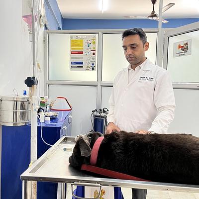 PRECISE PET CLINIC
