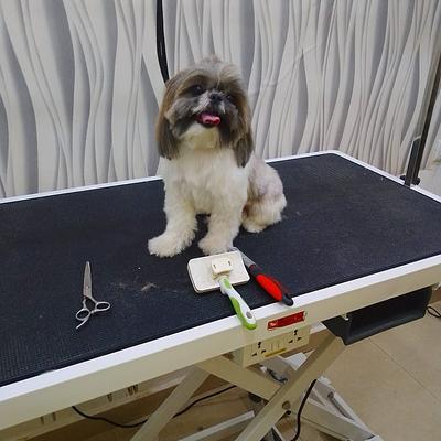 Deluxe Pet Store and Grooming Parlour