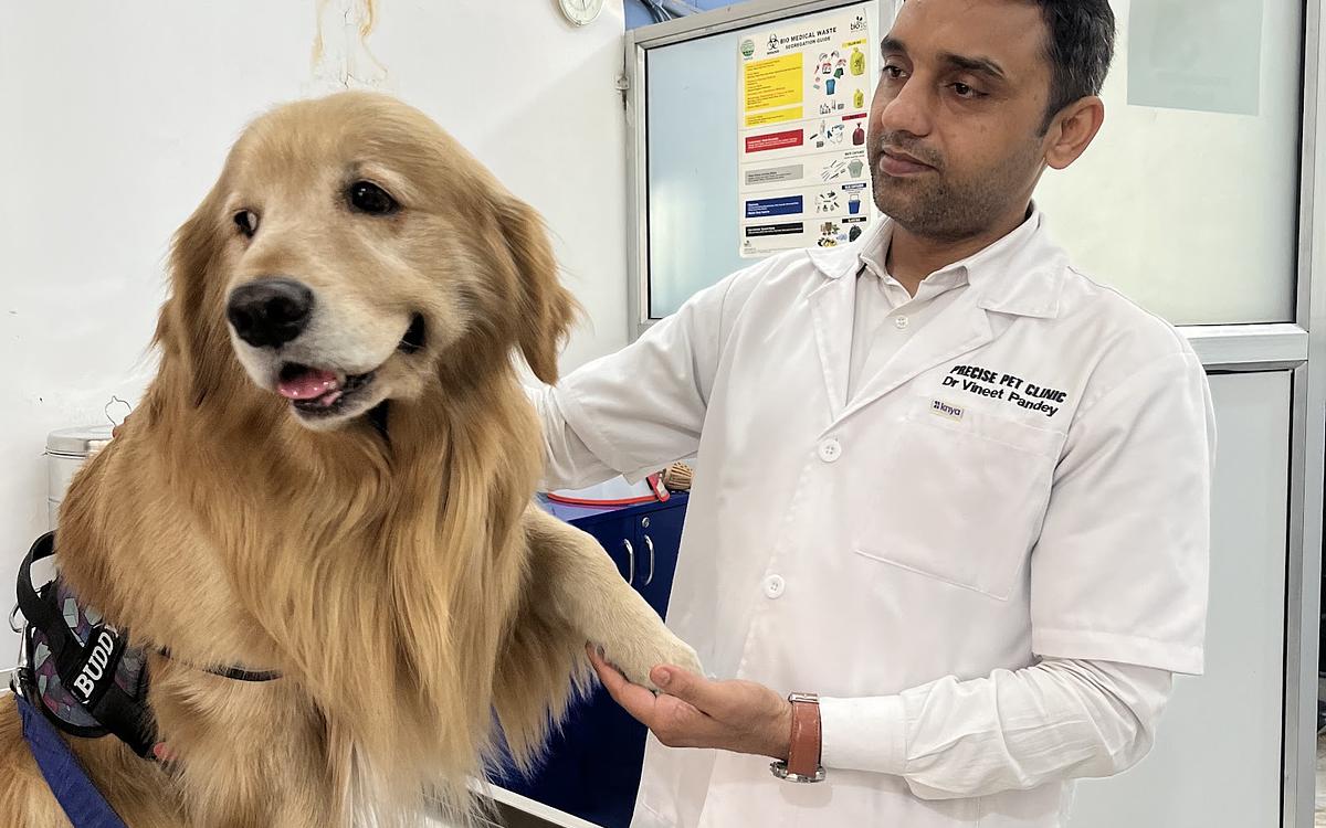 PRECISE PET CLINIC
