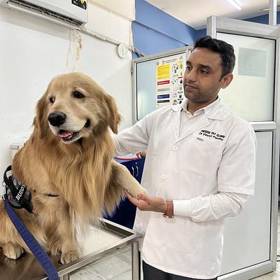 PRECISE PET CLINIC