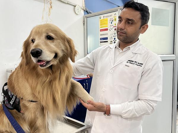 PRECISE PET CLINIC