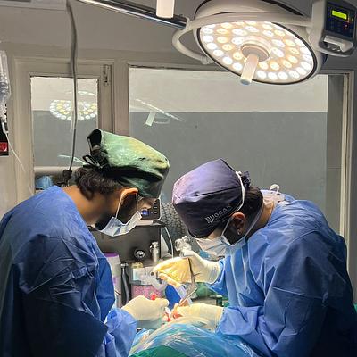 Animed Veterinary Clinic Gurugram