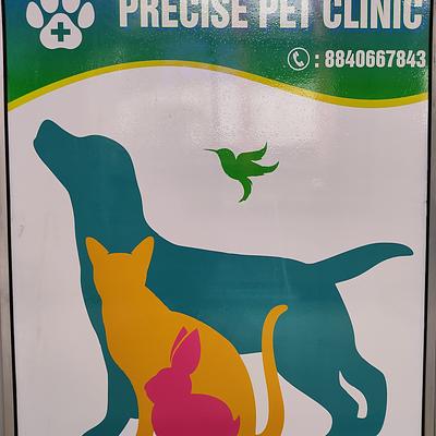 PRECISE PET CLINIC