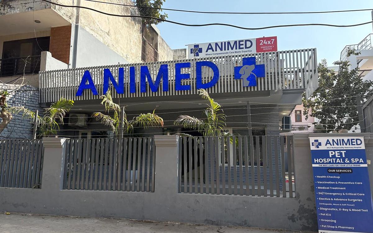 Animed Veterinary Clinic Gurugram