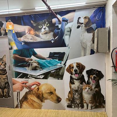 Vet Prime Care Clinic