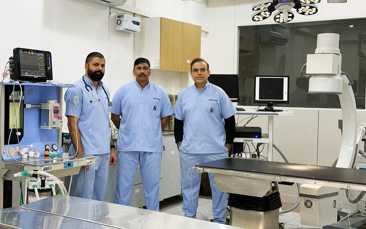 Animalia 24X7 Vet Care