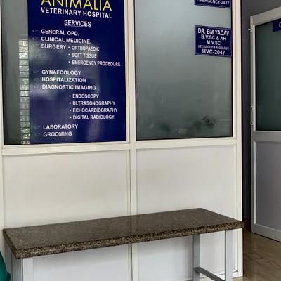 Animalia 24X7 Vet Care