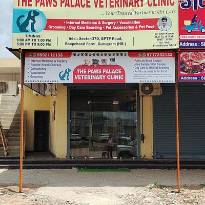 The Paws Palace Veterinary Clinic
