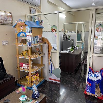 The Paws Palace Veterinary Clinic