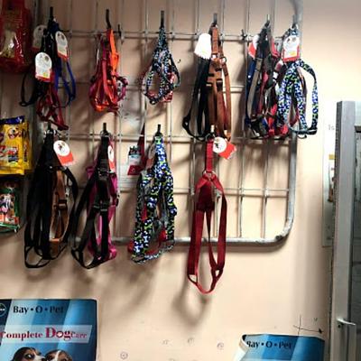 DPC PET CARE CLINIC (DOMESTICITY PET CARE CLINIC)