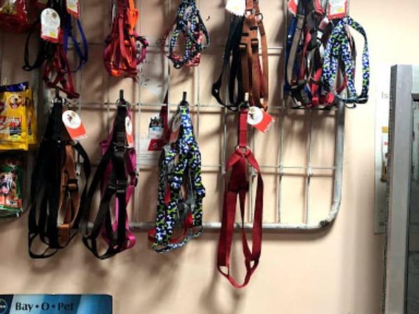 DPC PET CARE CLINIC (DOMESTICITY PET CARE CLINIC)