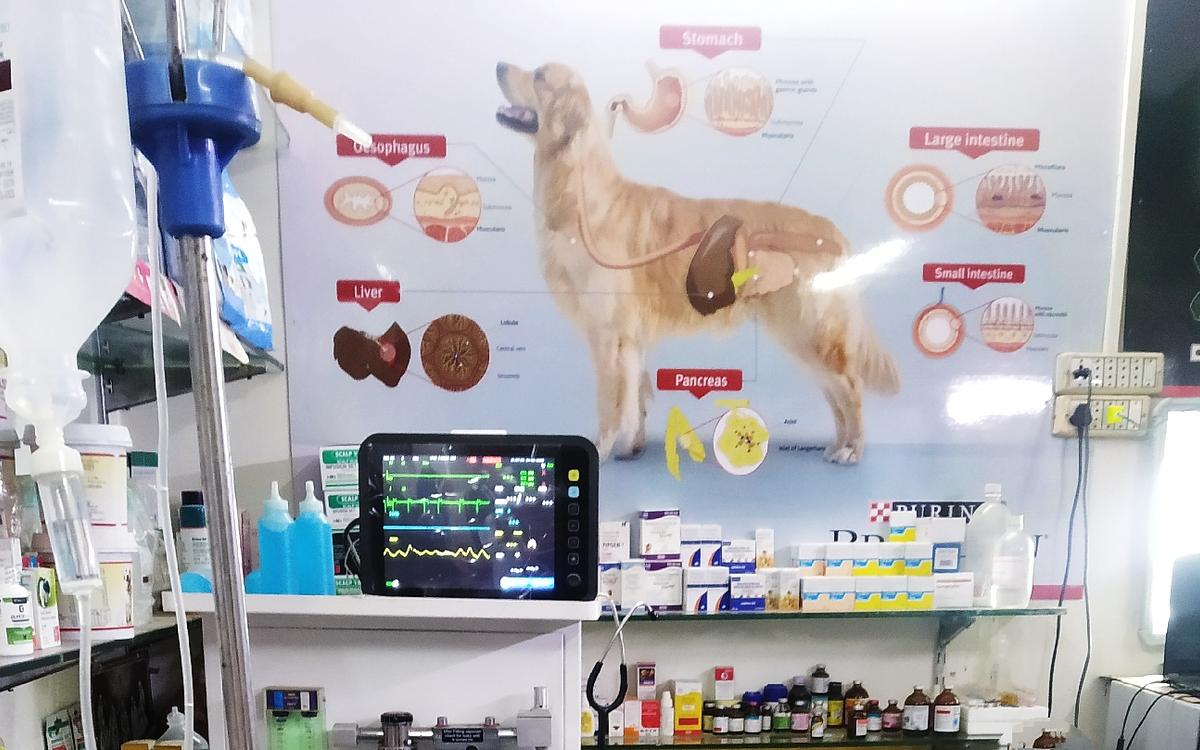 Vetopia Pet Clinic & Surgery Centre