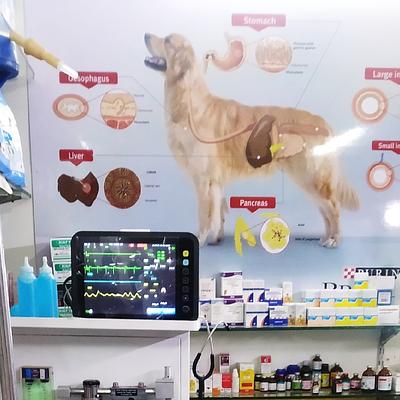 Vetopia Pet Clinic & Surgery Centre