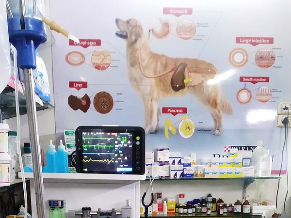 Vetopia Pet Clinic & Surgery Centre