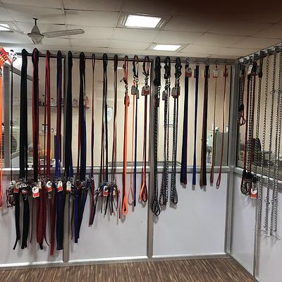 DPC PET CARE CLINIC (DOMESTICITY PET CARE CLINIC)