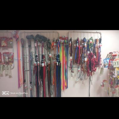 DPC PET CARE CLINIC (DOMESTICITY PET CARE CLINIC)