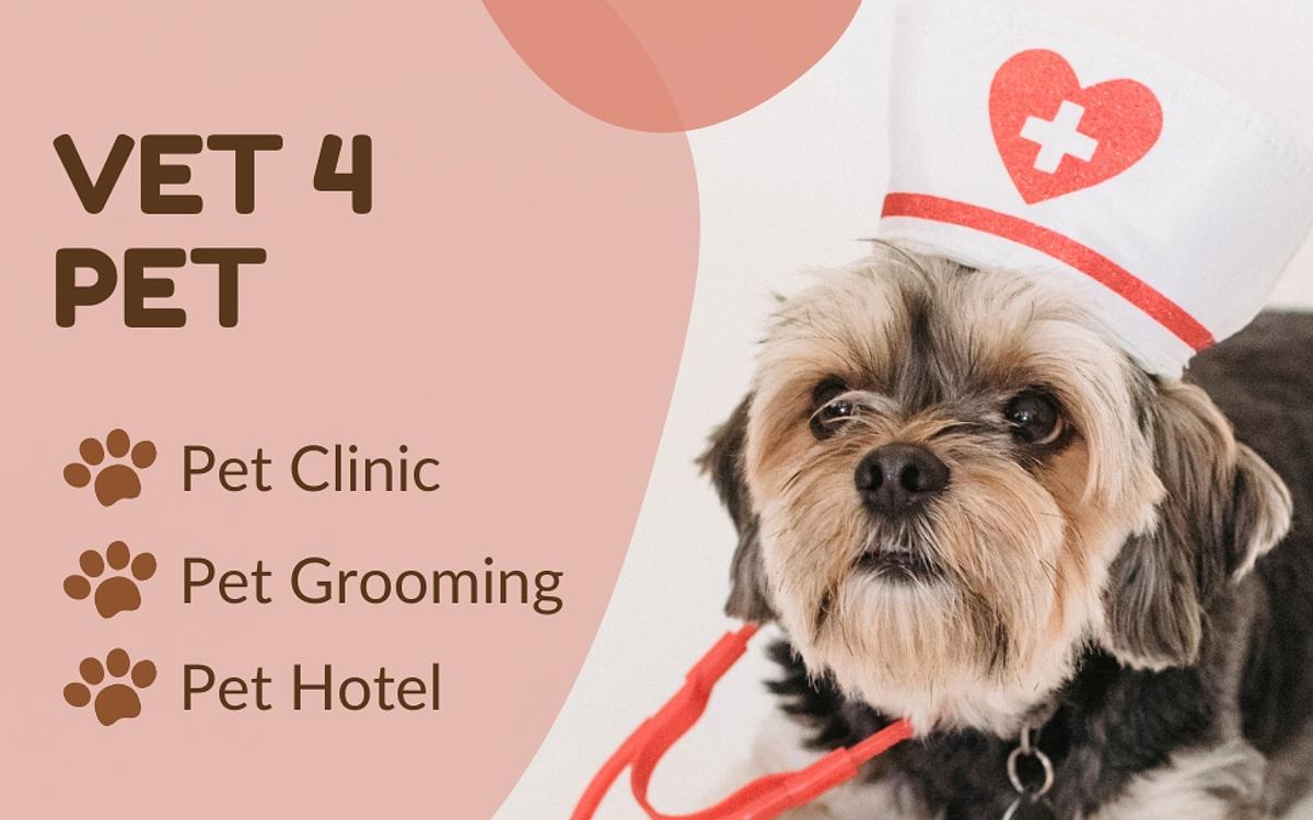 VET 4 PET