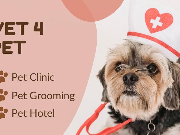 VET 4 PET