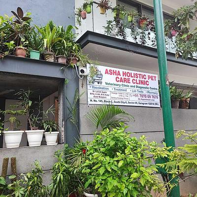 Asha Holistic Pet Care Clinic