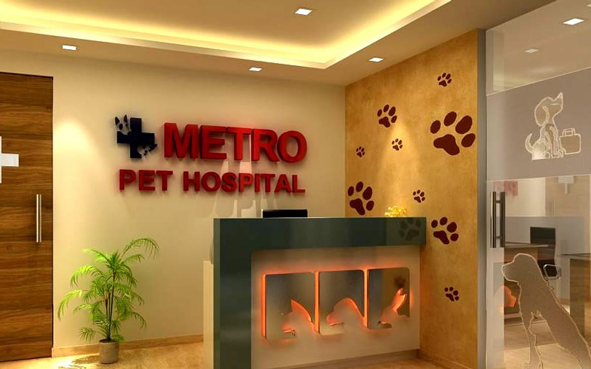 Metro Pet Hospital New Dr Satbir Josan