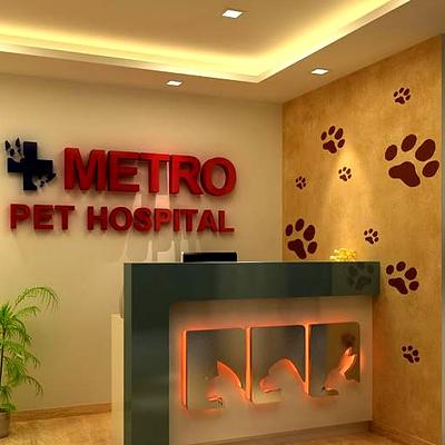 Metro Pet Hospital New Dr Satbir Josan
