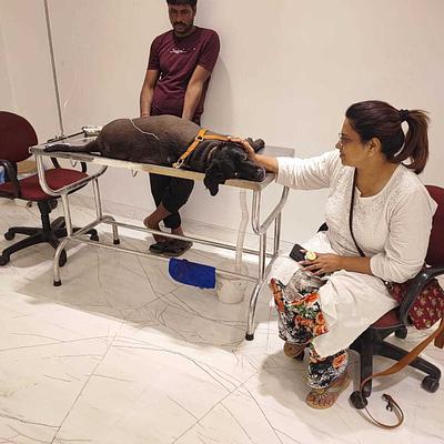 Asha Holistic Pet Care Clinic