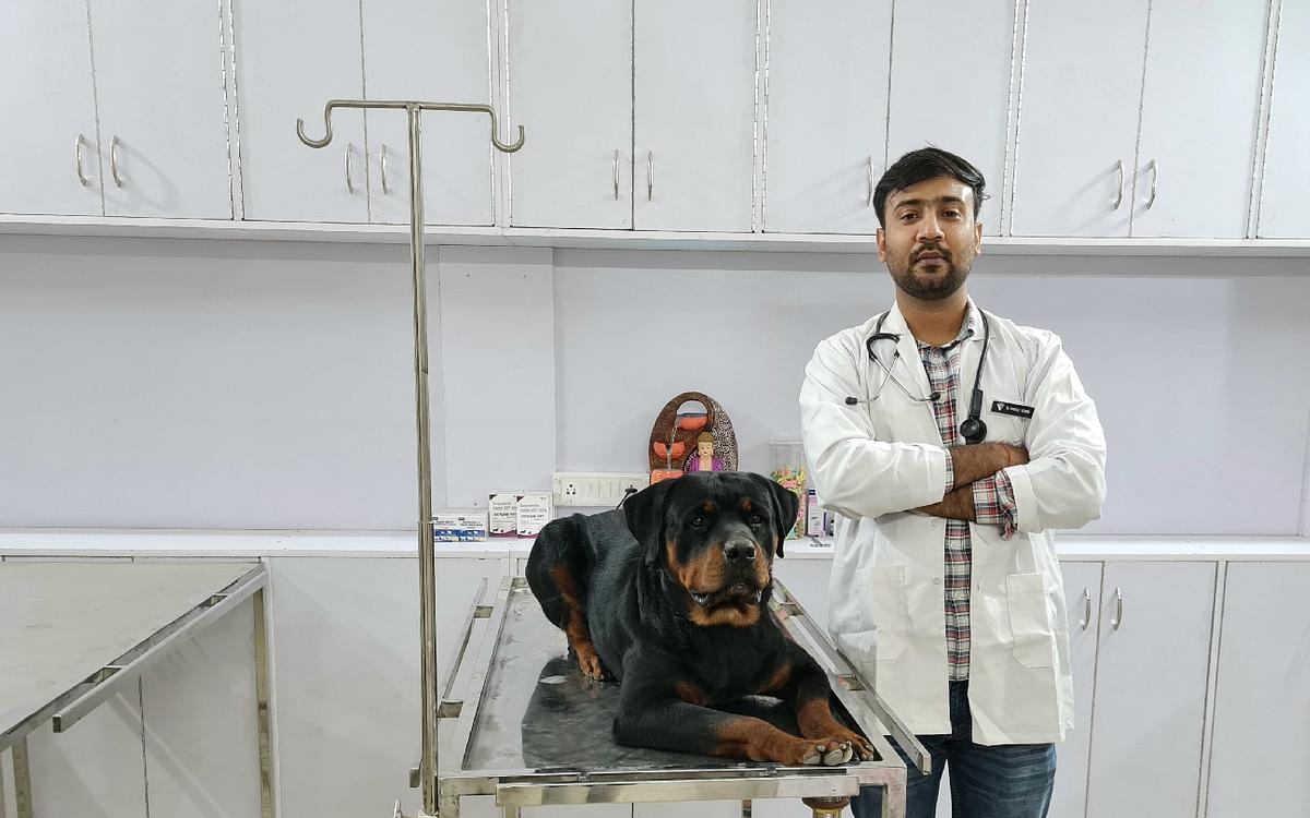 Noble care pet clinic