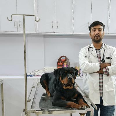 Noble care pet clinic