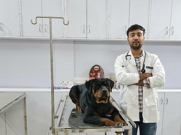 Noble care pet clinic