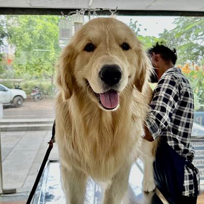 Pet Life Veterinary Hospital