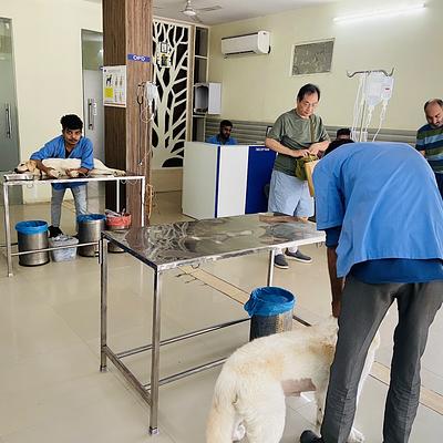 Asteria veterinary centre