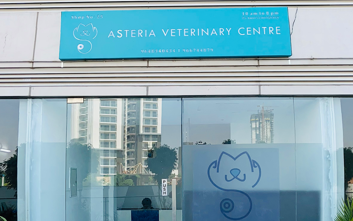 Asteria veterinary centre