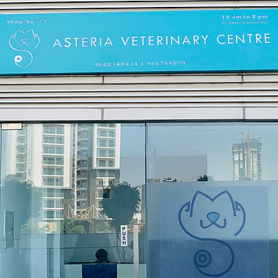 Asteria veterinary centre