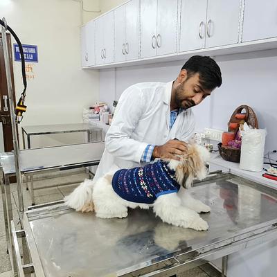 Noble care pet clinic