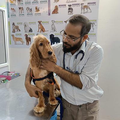 PAWSitive VETERINARY HOSPITAL