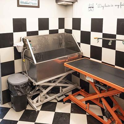 Pet Spa & Grooming by Heads Up For Tails - DLF Phase 1, Gurugram