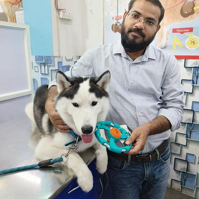 PAWSitive VETERINARY HOSPITAL