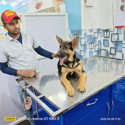 PAWSitive VETERINARY HOSPITAL
