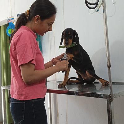 Om Pet Clinic