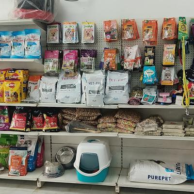 Gurugram Pinaka Vets