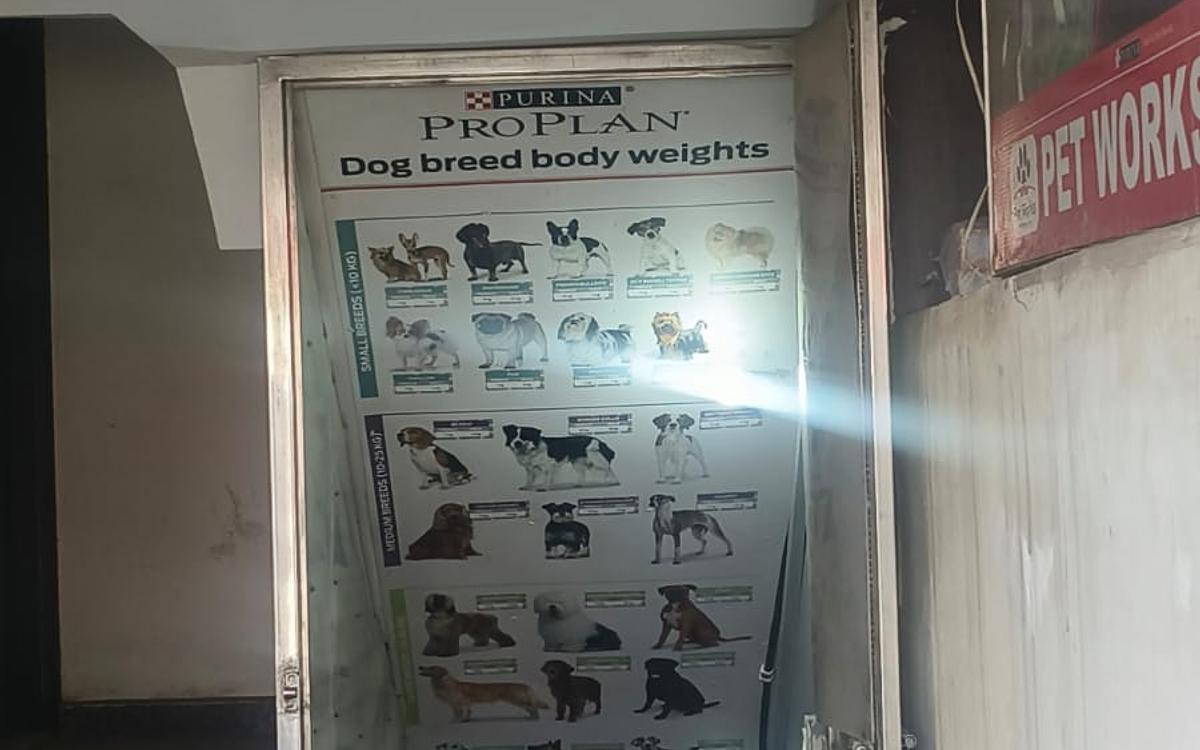 Pet Works : Pet Clinic | Pet vaccination | Pet Food | Sector 52 Gurgaon