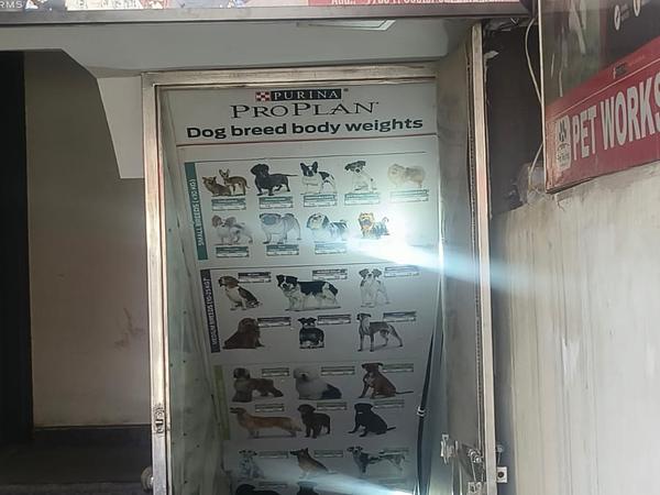 Pet Works : Pet Clinic | Pet vaccination | Pet Food | Sector 52 Gurgaon