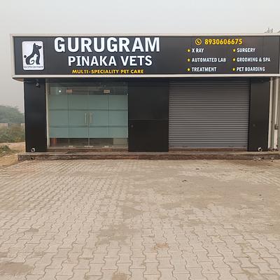 Gurugram Pinaka Vets
